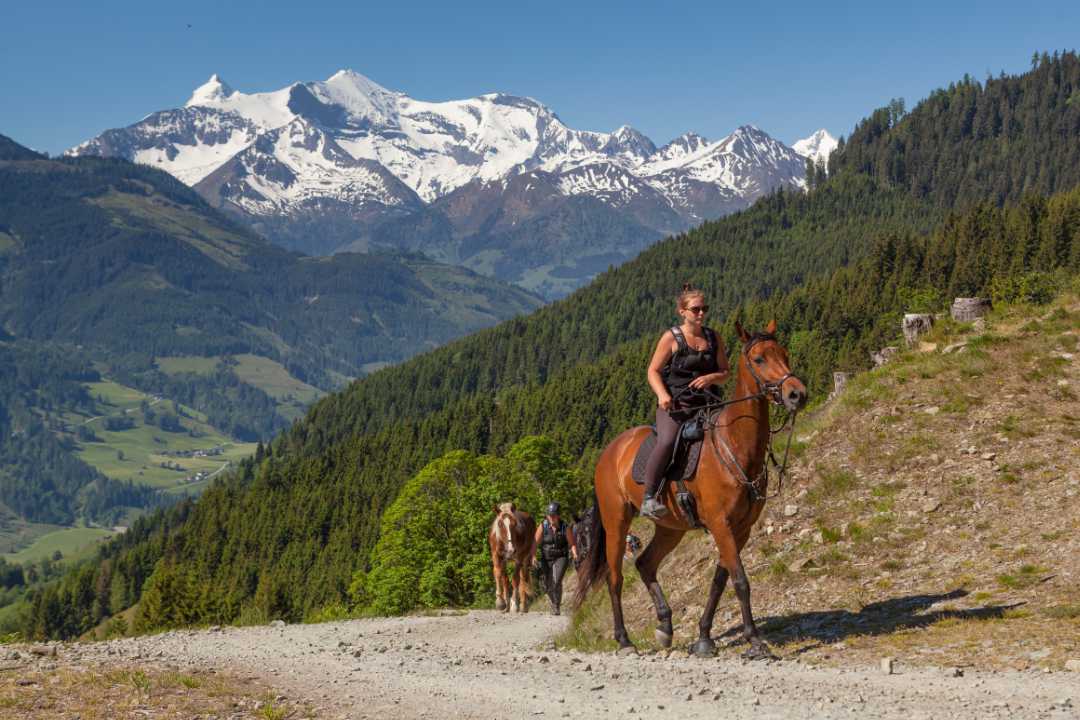 Reitausflug auf dem Pferd